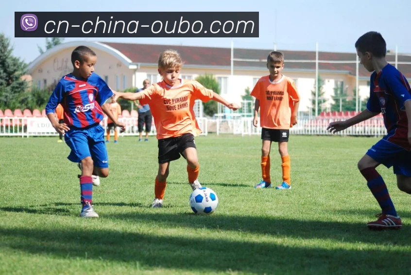 多媒体互动体验