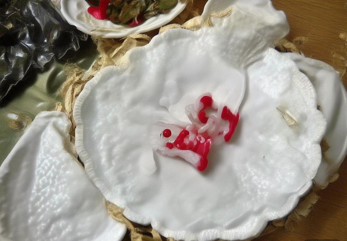 法国队VS玻利维亚：精彩对决时间、观看指南及赛后分析