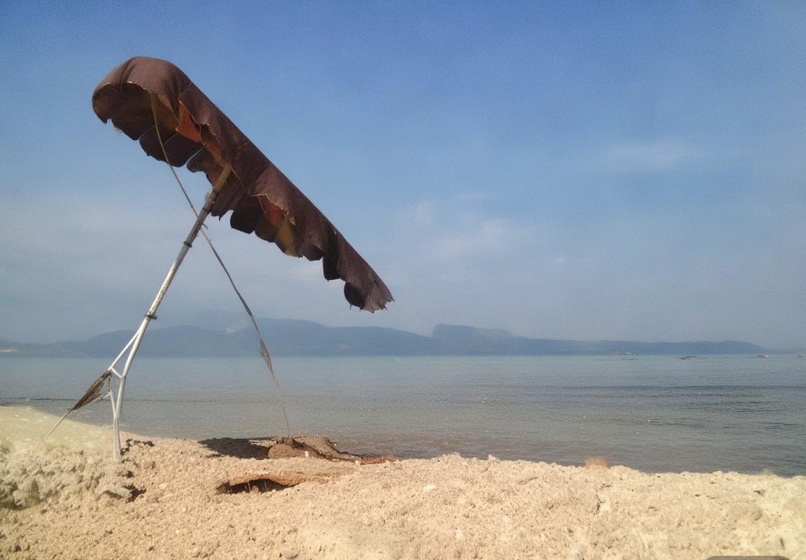 荷甲焦点对决：芬洛VS维迪斯 战术解析与积分榜影响(图3)